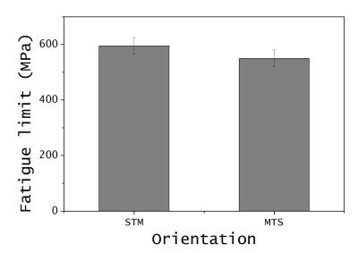 FL MS1 TMS/STM